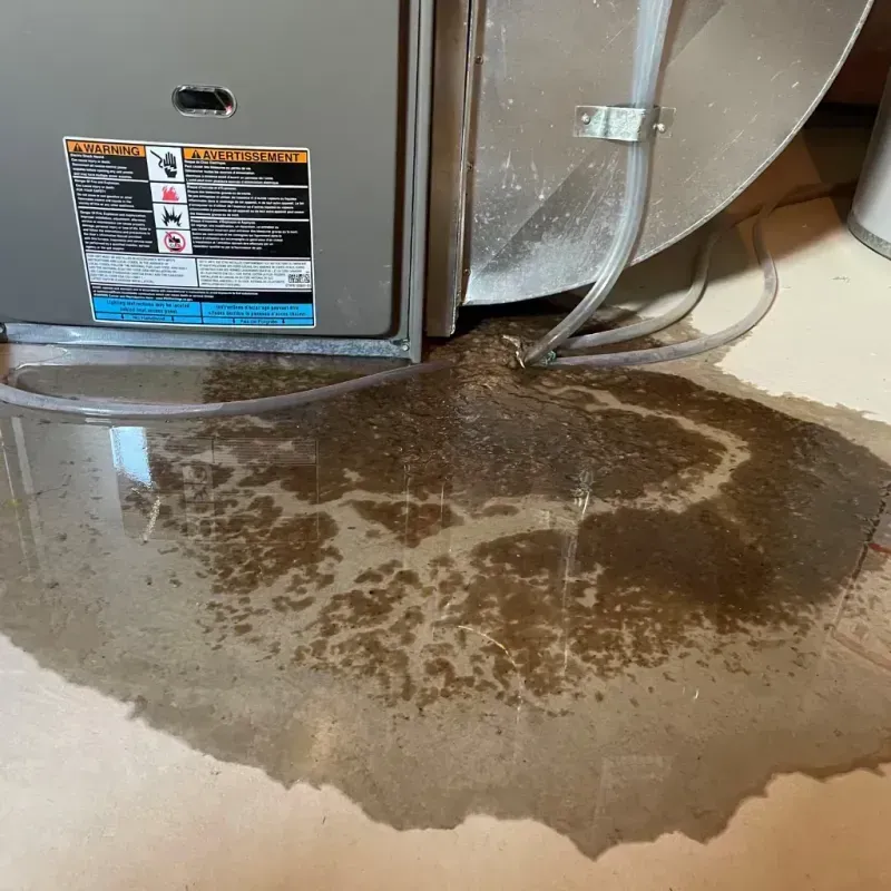 Appliance Leak Cleanup in Champaign, IL